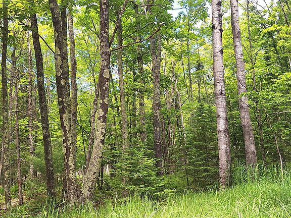 4th image of xxx South Shore Rd Lot 1, Block 2 South Shore Woodlands