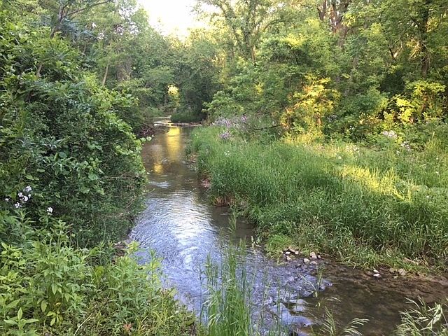 Creek in valley below