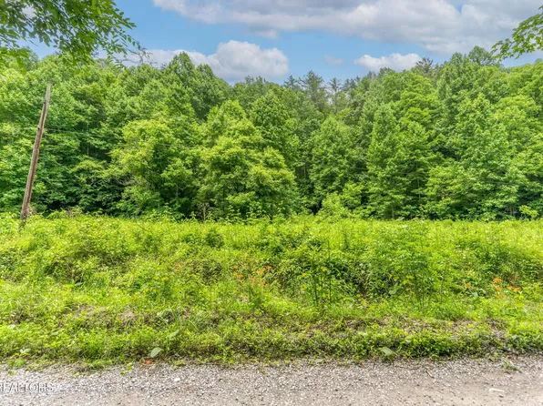 Johns Creek Rd, Del Rio, TN 37727