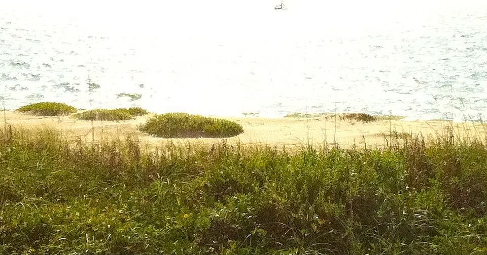 Beautiful Beach of Ocean Ridge