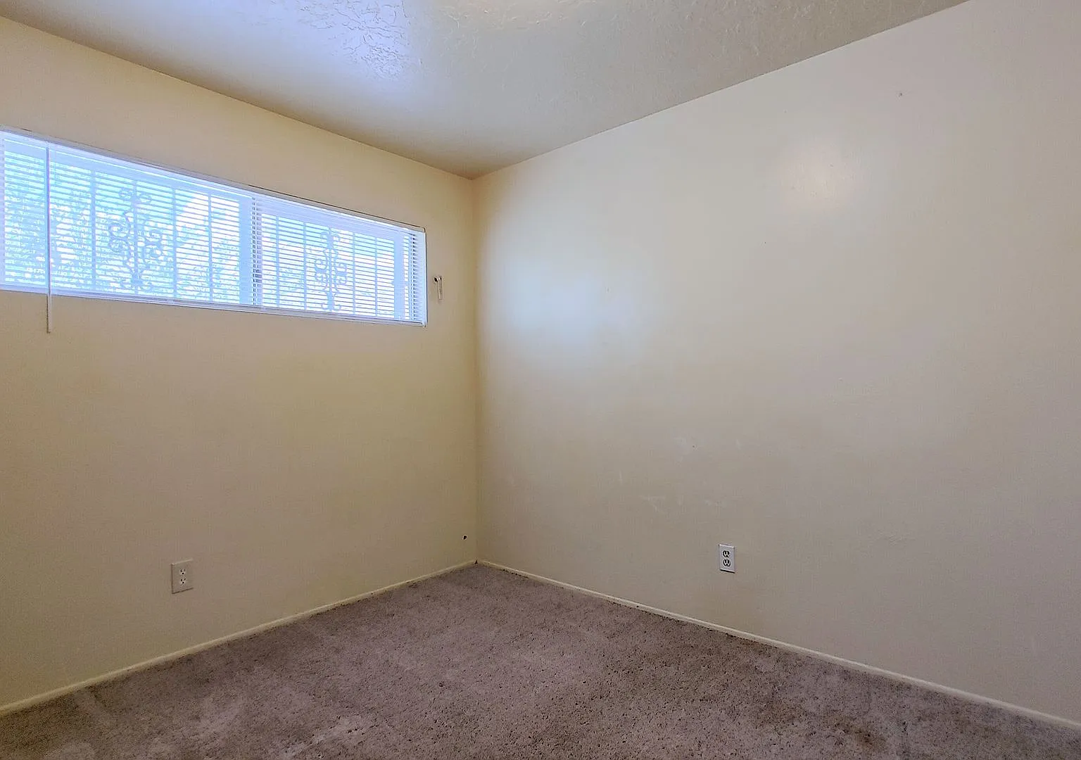 532 Chama — Photo 4