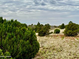 Show Low Pines Unit 10 Lots #206 & 205, Concho, AZ 85924