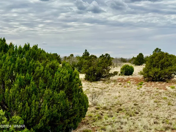 Show Low Pines Unit 10 Lots #206 & 205, Concho, AZ 85924