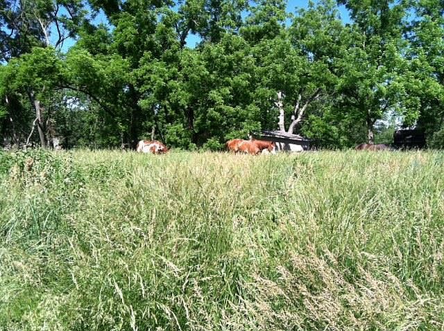2nd image of 500 S Dickinson Rd