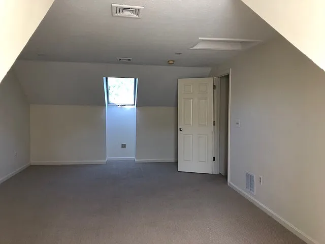 Expansive third-floor guest suite featuring a skylight, additional window, and 2 walk-in closets, offering exceptional space and natural light.