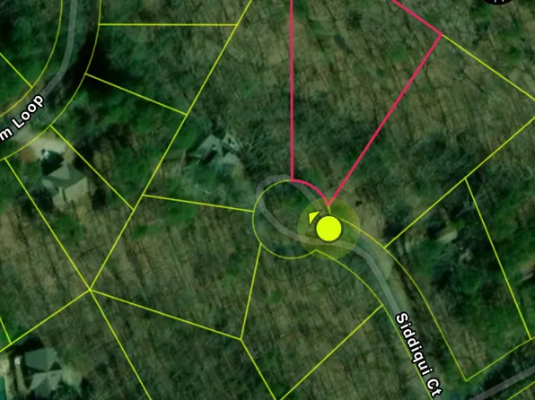 110 Siddiqui Ct, Waleska, GA 30183