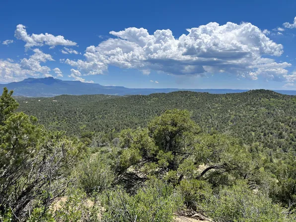 Blues Brother Rd, Trinidad, CO 81082