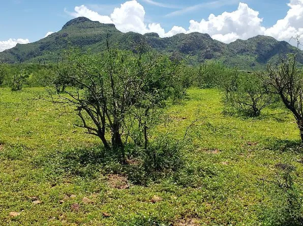 14 Whitetail Ln #14, Tubac, AZ 85646