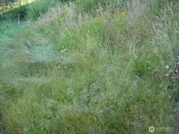 514 E 55th Street, Tacoma, WA 98404