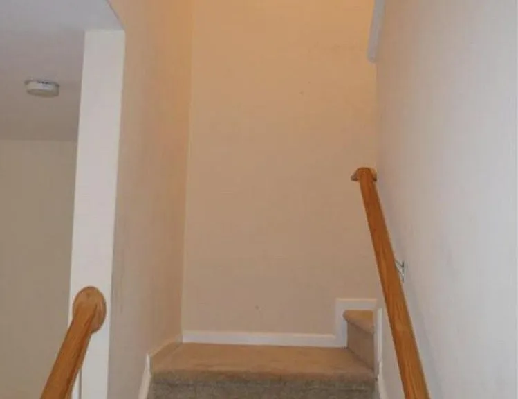 7919 Averette Hill Dr — Photo 4