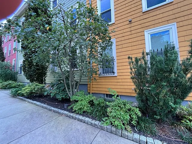 Putnam Ave — Photo 23