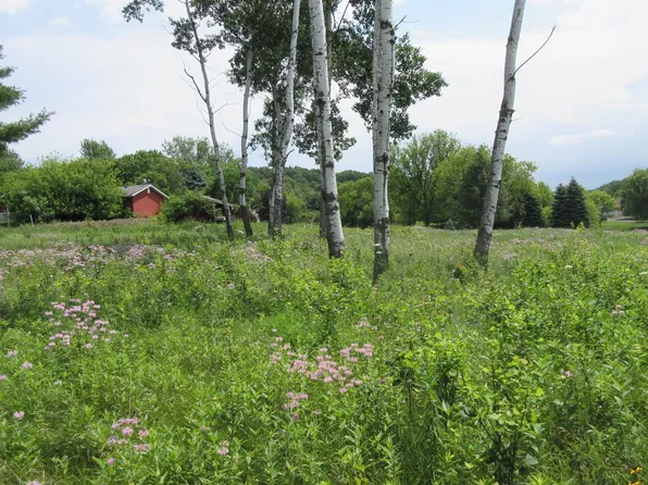 Lot 12 516th Street, Menomonie, WI 54751