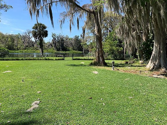 Back yard