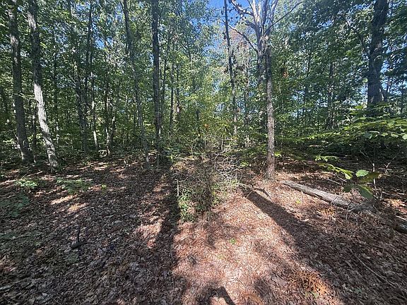 3rd image of Dixie Hill Rd Lot 5
