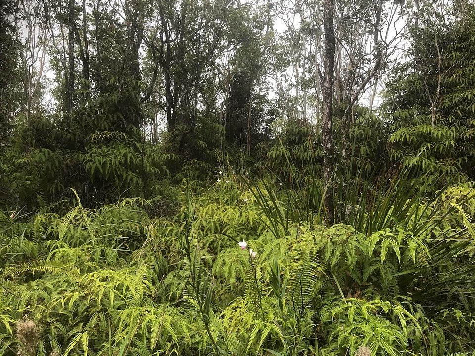 2nd image of Makoa Rd Lot 73