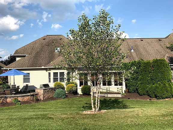 River Birch Adds Shade 