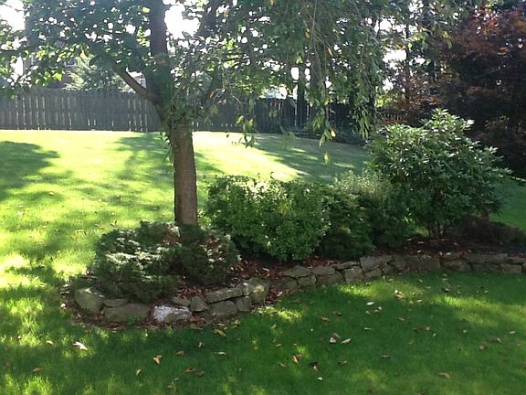 Front yard