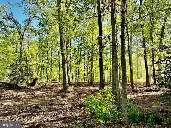 LOT Four Tapps Ford Rd, Amissville, VA 20106