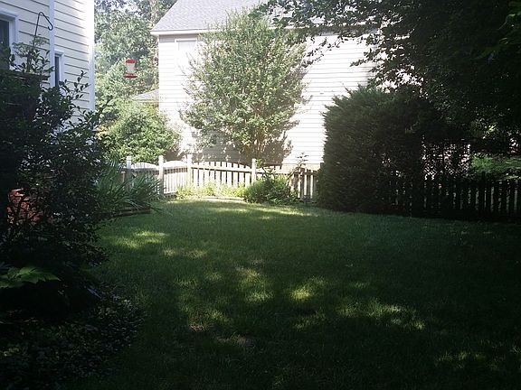Back yard