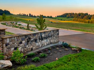 8 Meadow Vista Way, White Pine, TN 37890