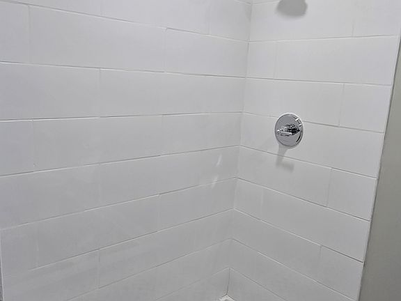 Main shower /Bathroom