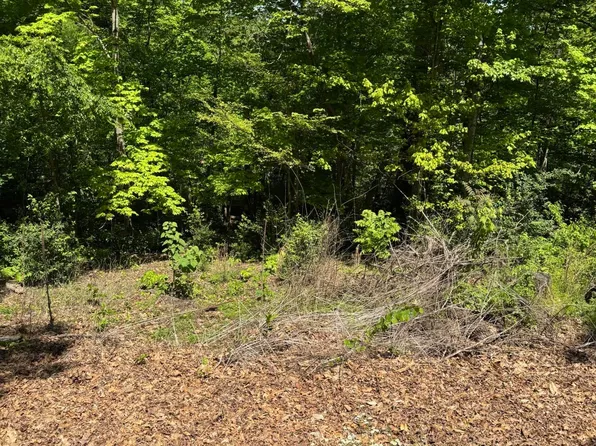 LOT 44 Cliffwood Dr, Newport, TN 37821