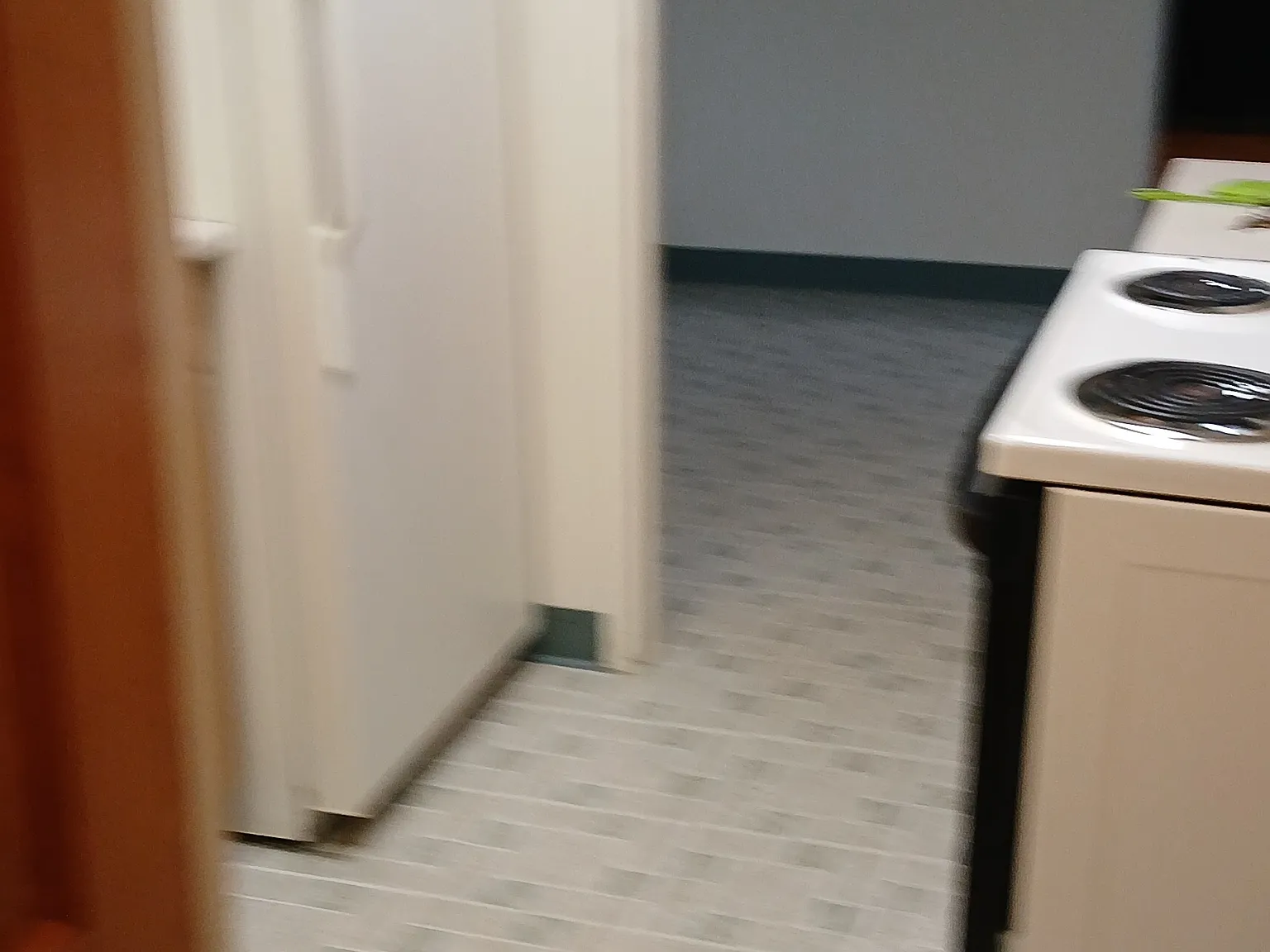2 bed, 1000 sqft, $1,200 — Photo 4