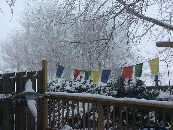 Winter view