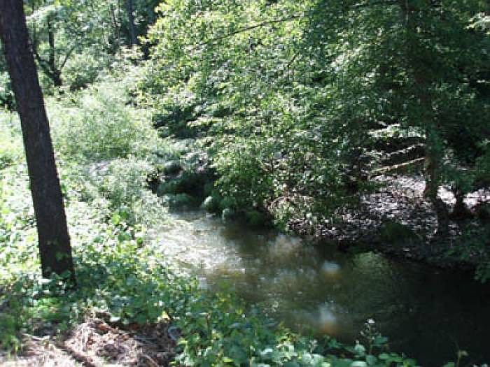 The Creek