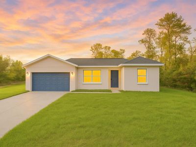 139 Malauka Pass, Ocklawaha, FL, 32179