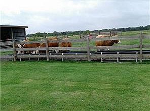 4th image of 5550 County Road 107
