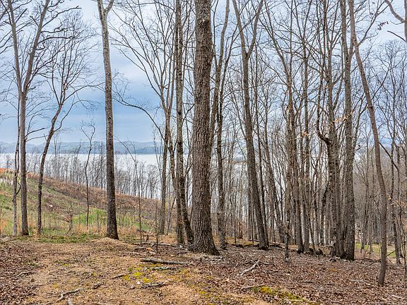 4th image of LOT 3 Lowe Dr