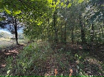 5th image of 1970 Graham Cypress Rd