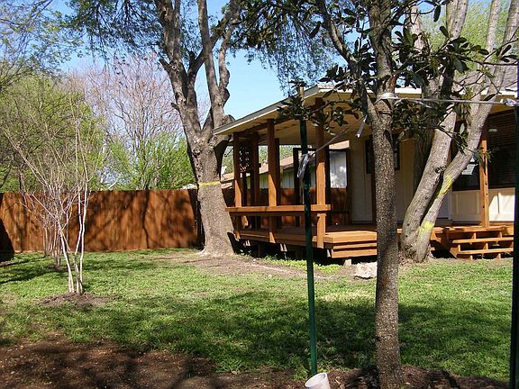 Huge New Trees Planted