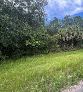 0 Dallas Blvd Lot 25, Orlando, FL, 32833