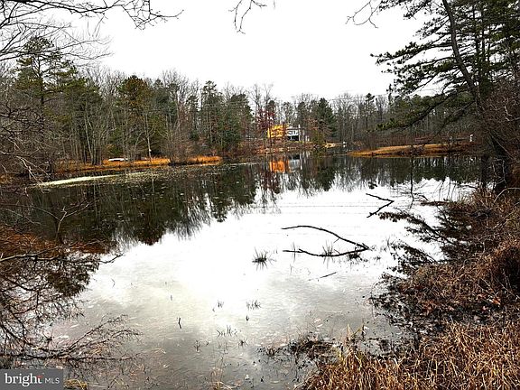 3rd image of 16 Forest Ln