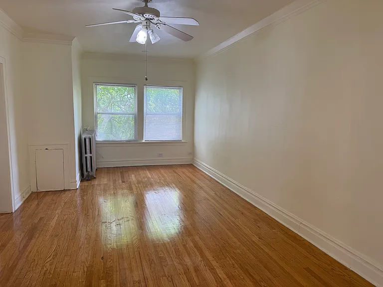 7341 S Michigan Ave #2R — Photo 4