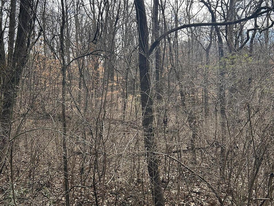 1st image of LOT 1 Lamont Ln