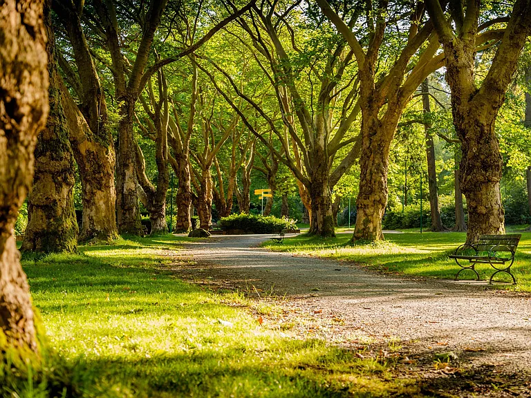 Park