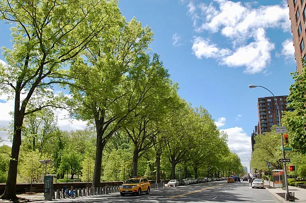 Rented by Bohemia Realty Group | media 22