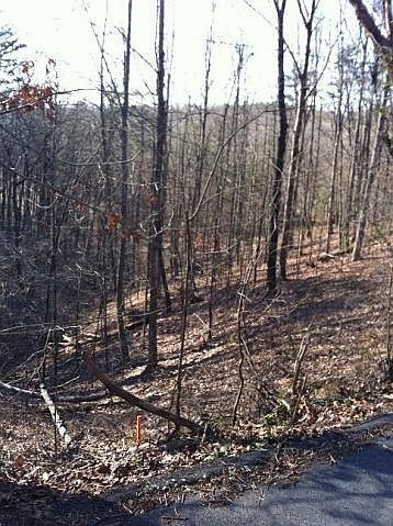 2nd image of Estates Dr