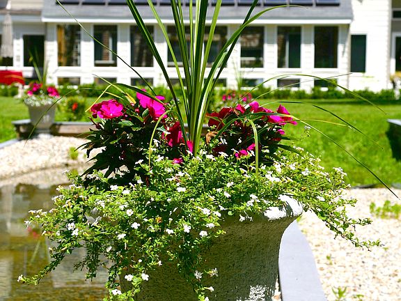 concrete planters at pool