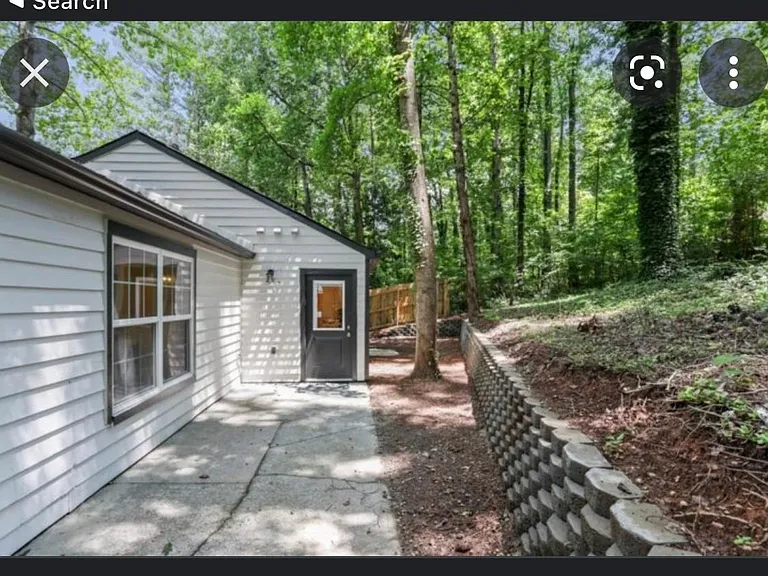 Back yard