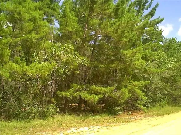 0 Childs Rd #27, Interlachen, FL 32148