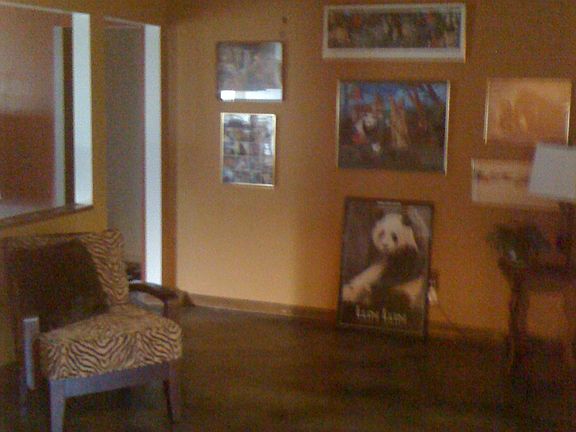 polished concrete floors