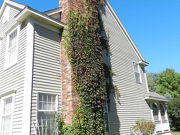 Chimney with Ivy