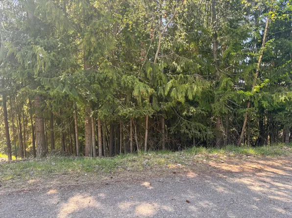 LOT 8 Stampede Trl, Columbia Shuswap, BC V0E 1M8