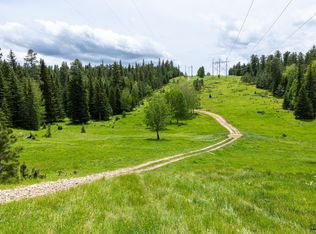 White Forest Rd, Lead, SD 57754