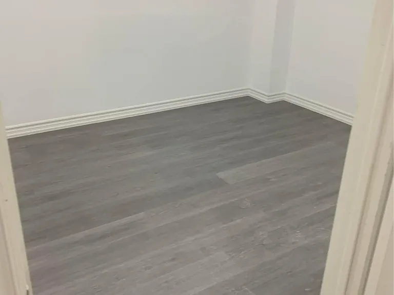 116 Elephant Hill Dr #BASEMENT — Photo 5