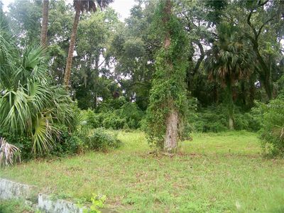 204 Kilgore St, Wildwood, FL, 34785